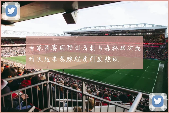 专家团赛前预测马刺与森林狼次轮对决结果悬殊程度引发热议
