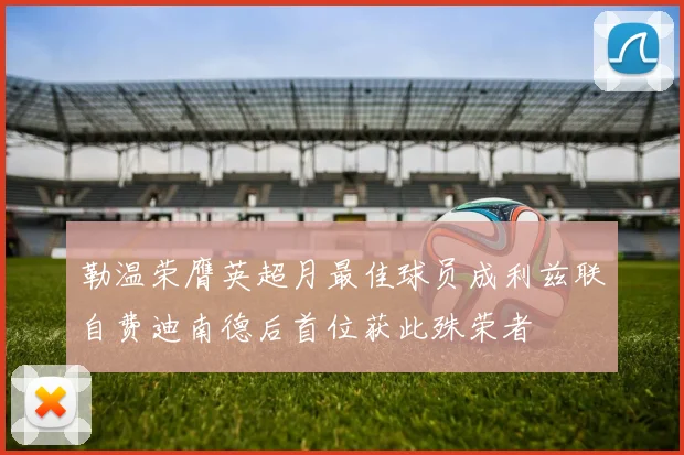 勒温荣膺英超月最佳球员成利兹联自费迪南德后首位获此殊荣者