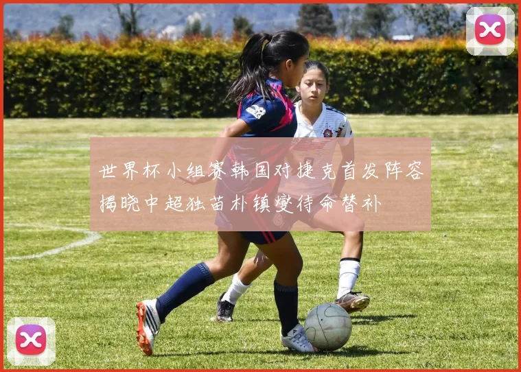 世界杯小组赛韩国对捷克首发阵容揭晓中超独苗朴镇燮待命替补